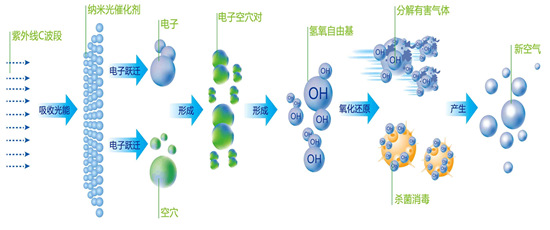 米博体育app下载